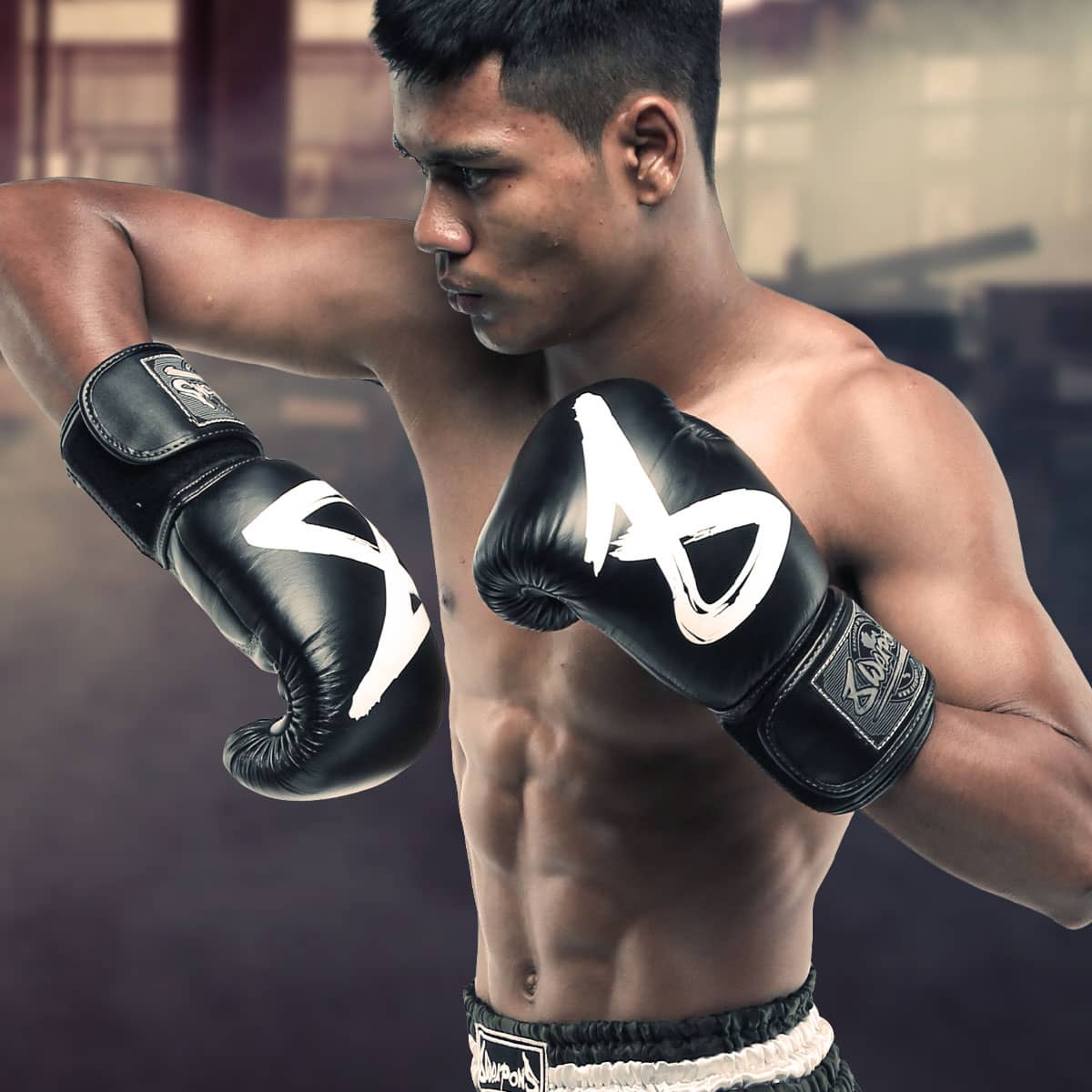 8 WEAPONS BOXING GLOVES